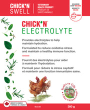 Load image into Gallery viewer, Chick’N ™Electrolytes 300 g